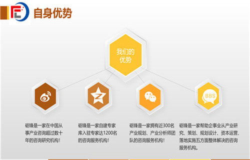 六安市社會穩定風險分析評估報告（甲級）——社會經濟咨詢服務的核心價值與實施路徑